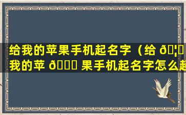 给我的苹果手机起名字（给 🦊 我的苹 🍁 果手机起名字怎么起）